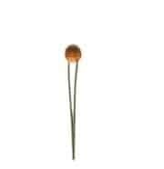 47pF 50V Ceramic Capacitor -10 Pieces pack.